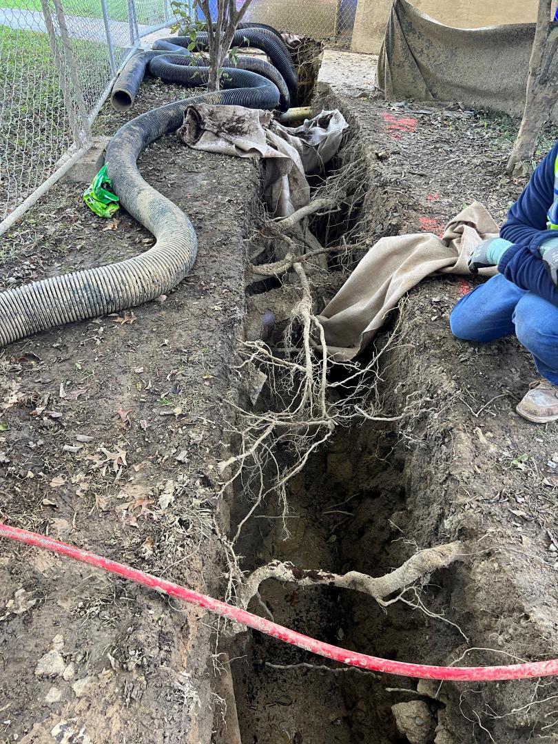   Excavation ditches crossing through multiple trees' root zones is a common clash on construction sites. University and Colleges have Tree Protection Standards that govern construction practices to help reduce damage to trees and soils. 